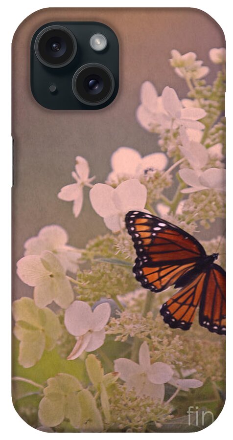 Viceroy Butterfly. White Flower iPhone Case featuring the photograph Butterfly Glow by Elizabeth Winter