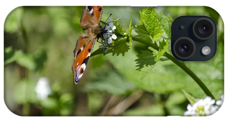 Butterfly iPhone Case featuring the photograph Butterfly by Spikey Mouse Photography