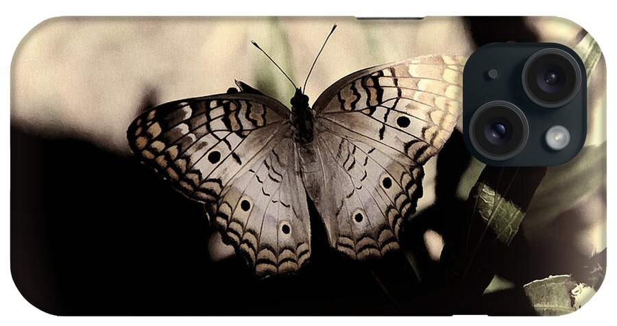 Butterfly iPhone Case featuring the photograph Butterfly Kisses by Oscar Alvarez Jr