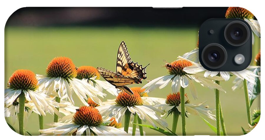 Butterfly iPhone Case featuring the photograph Butterfly on Echinacea by Michael Saunders