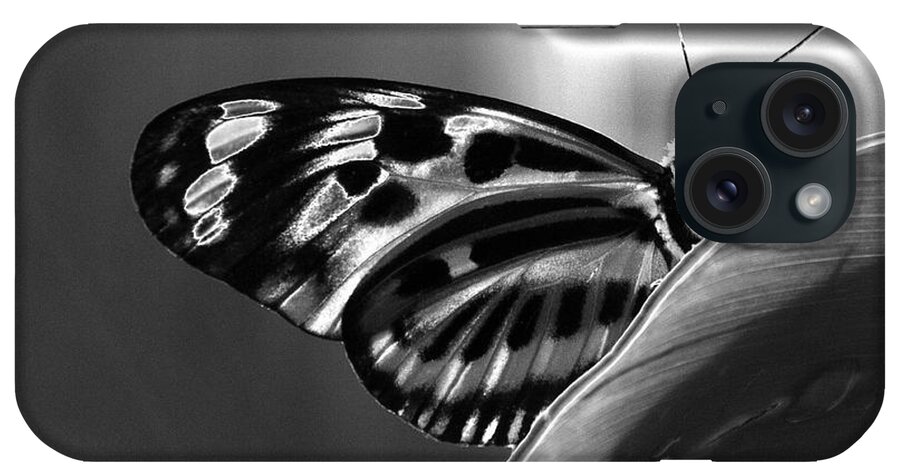 Solarization iPhone Case featuring the photograph Butterfly Solarized by Ron White