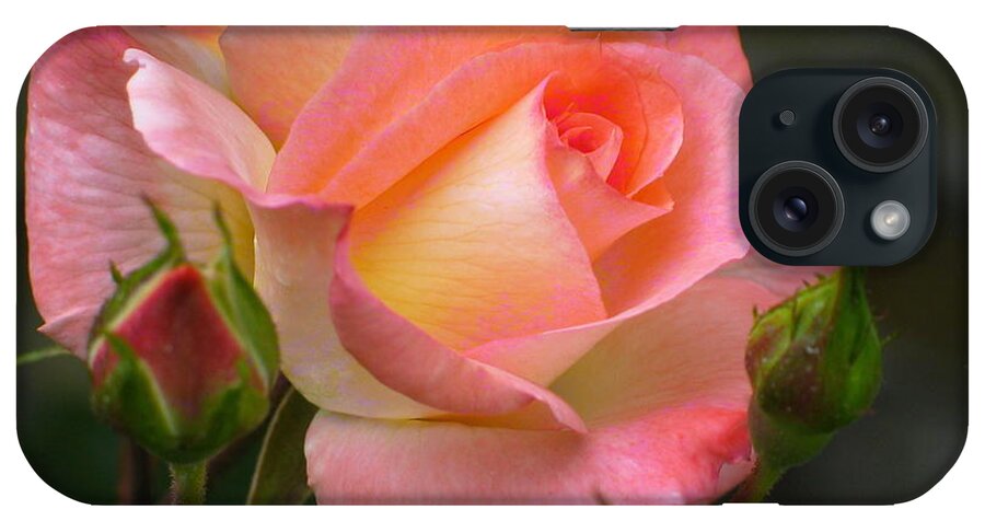 Flower iPhone Case featuring the photograph Buttermilk Pink by Derek Dean