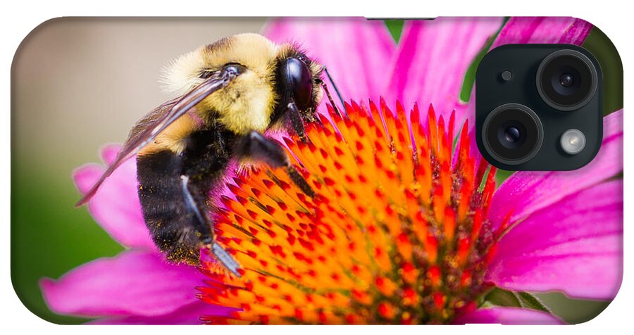 Bumblebee iPhone Case featuring the photograph Buzzed in Eureka Springs by Annette Hugen