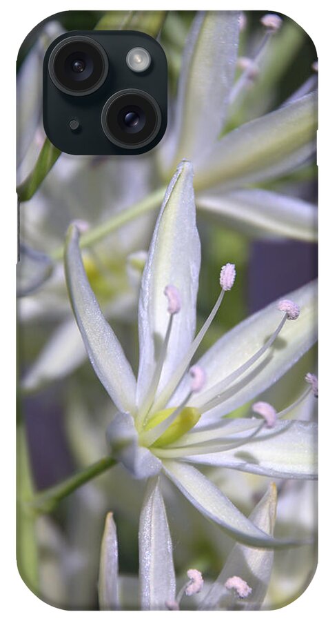 Olbrich Gardens iPhone Case featuring the photograph By the Silvery Light by Leda Robertson