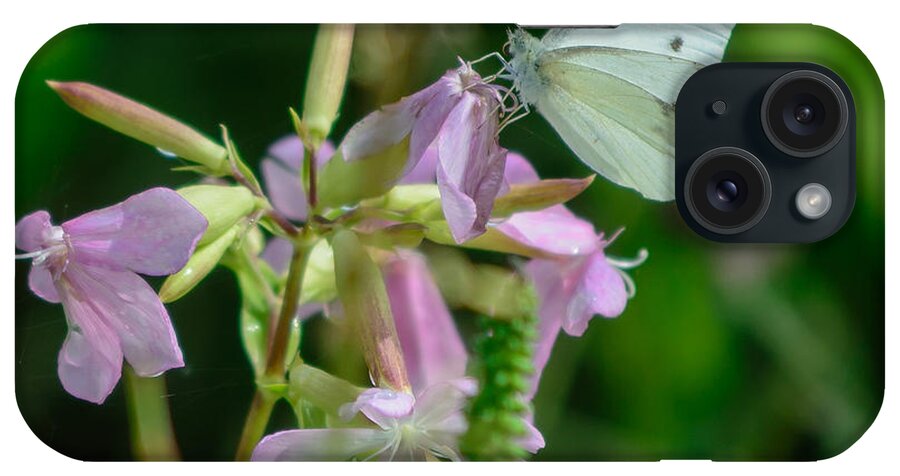 White iPhone Case featuring the photograph Cabbage White Butterfly by James Canning