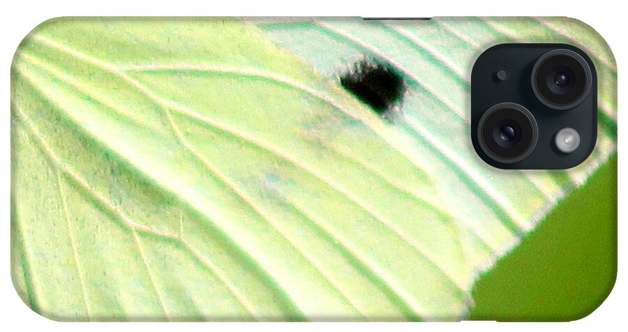 Butterfly iPhone Case featuring the photograph Cabbage White Butterfly Wing Square by Karen Adams