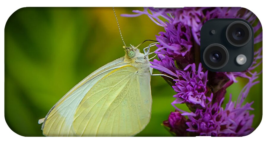 Nature iPhone Case featuring the photograph Cabbage White on Liatris by Robert Mitchell