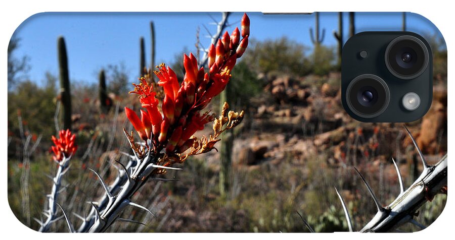 Cactus Photography iPhone Case featuring the photograph Cactus flowers by Diane Lent