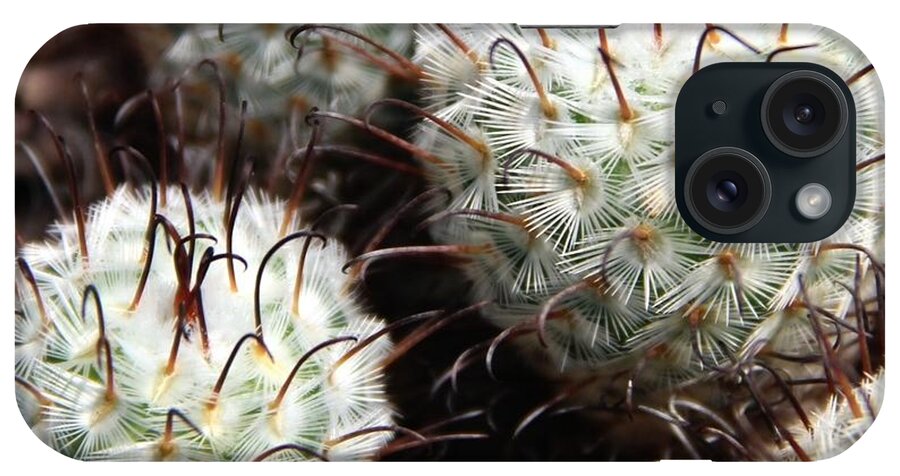 Cactus iPhone Case featuring the photograph Cactus by Jim McCullaugh