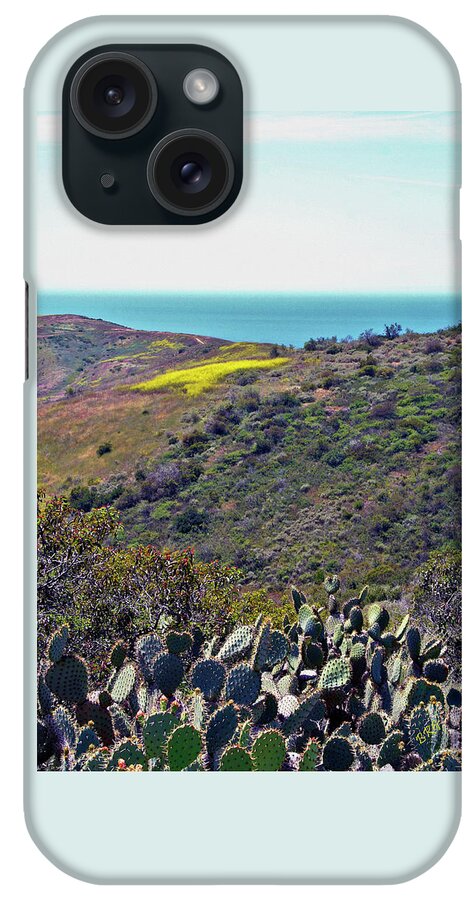 Landscape iPhone Case featuring the photograph Cactus To Ocean View by Ben and Raisa Gertsberg