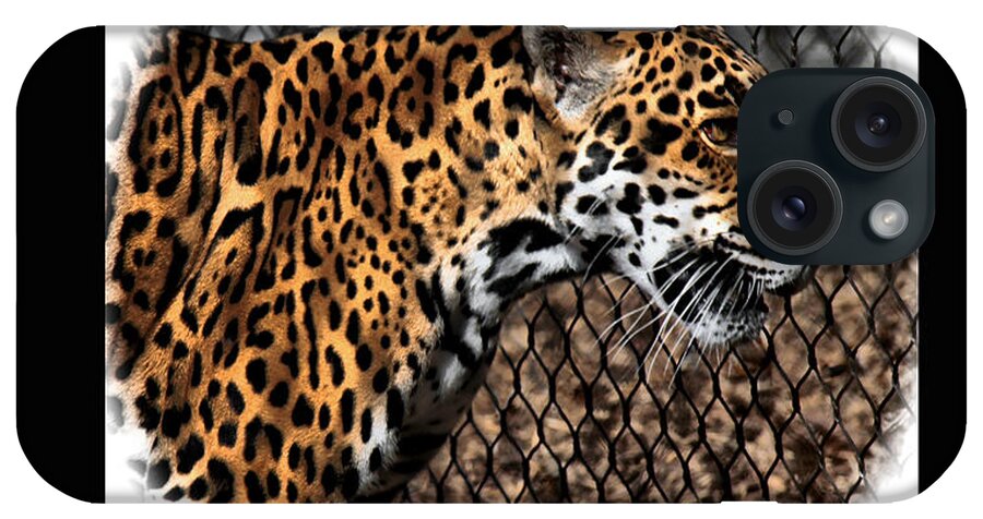 Jaguar iPhone Case featuring the photograph Caged Jaguar by Lucy VanSwearingen