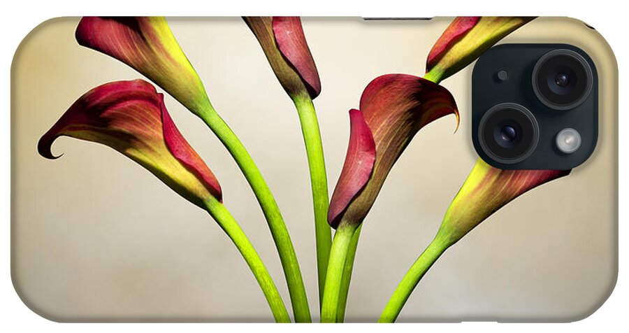 Cala Lily iPhone Case featuring the photograph Cala Lily 5 by Mark Ashkenazi