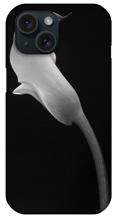 Cala Lilly iPhone Case featuring the photograph Cala Lilly 1 by Ron White