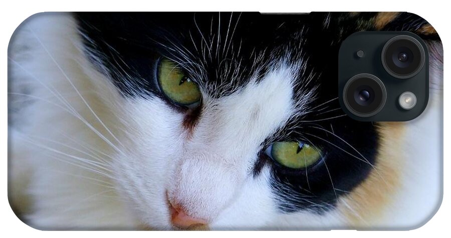 White Cats iPhone Case featuring the photograph Calico 1 by Mary Deal