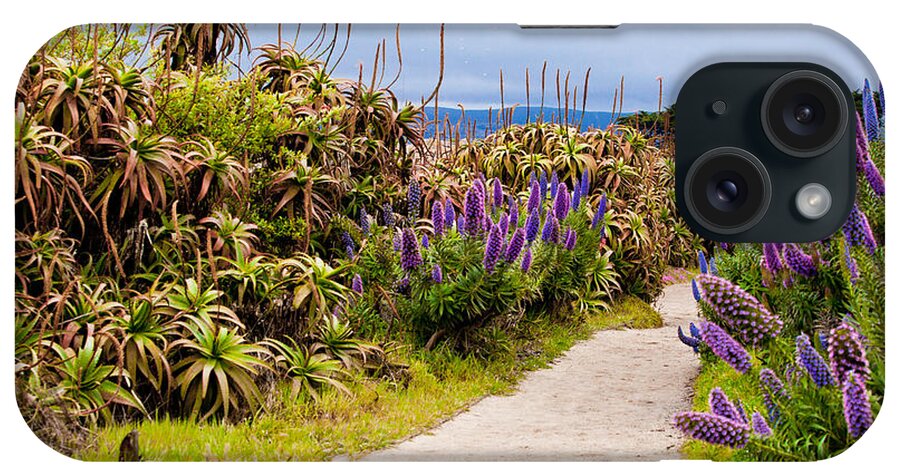 Walkway iPhone Case featuring the photograph California Coastline Path by Melinda Ledsome