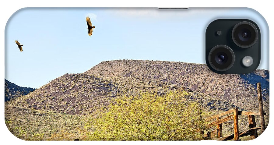 Condors iPhone Case featuring the photograph California Condors in Arizona by Lee Craig