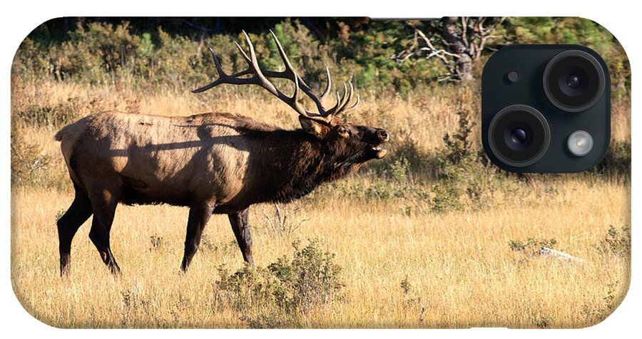 America iPhone Case featuring the photograph Call of the Wild Elk by Karen Lee Ensley