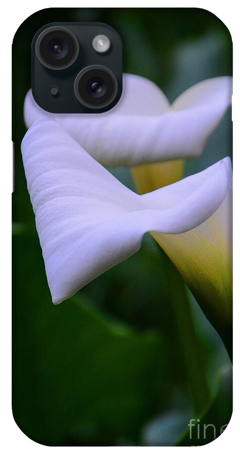Calla Lily iPhone Case featuring the photograph Calla Lily 2 by Cindy Manero