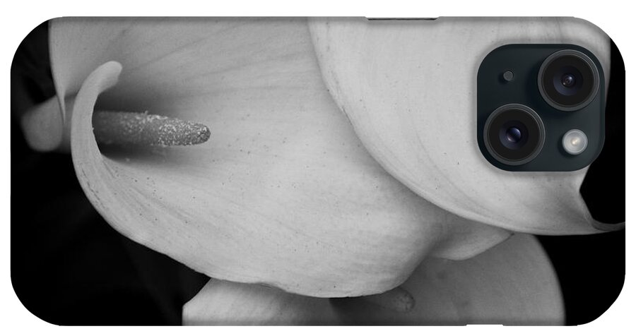 Calla Lily iPhone Case featuring the photograph Calla Lily by Carrie Cranwill