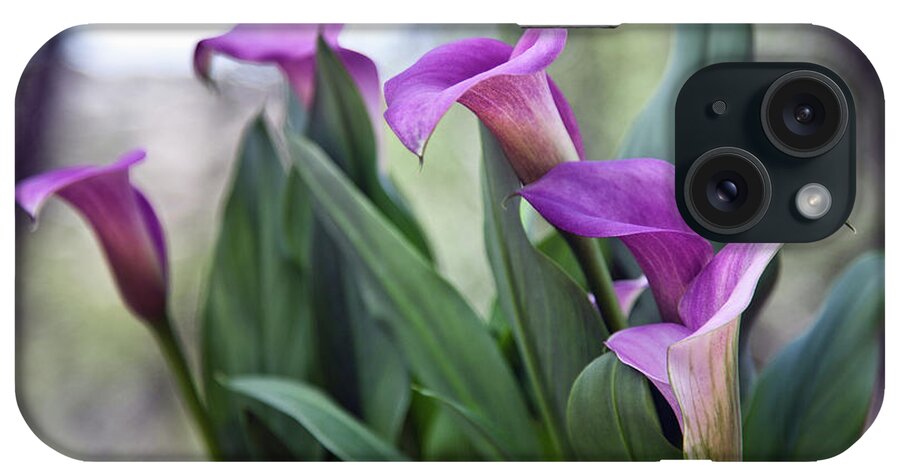 Tranquility iPhone Case featuring the photograph Calla Lily by Marilyn Conway