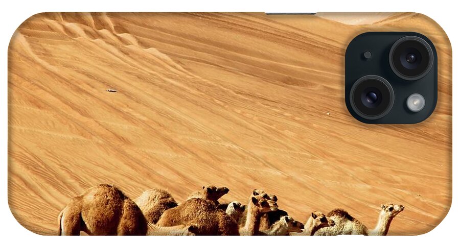 Sand Dune iPhone Case featuring the photograph Camel Meeting In Desert by Stefano Gambassi