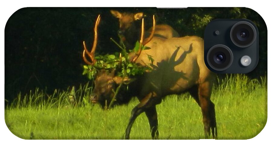 Elk iPhone Case featuring the photograph Camoflaged Elk With Shadows by Gallery Of Hope