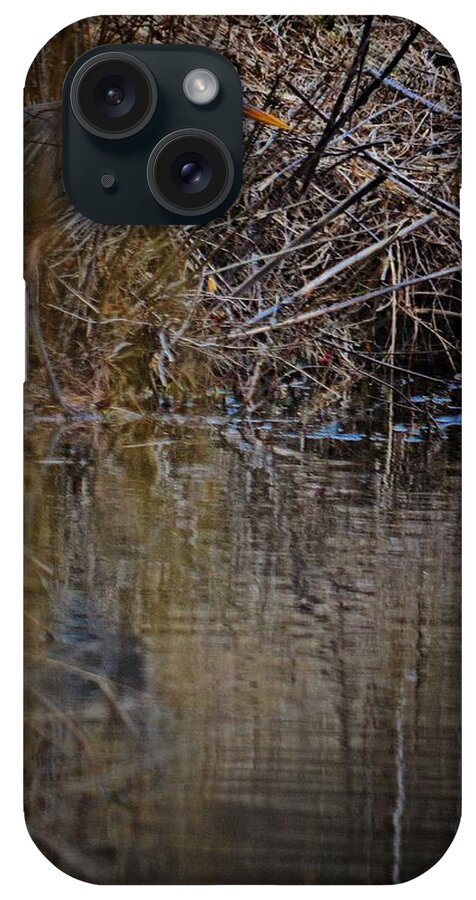 Great Blue Heron iPhone Case featuring the photograph Camouflage by Robert McCubbin