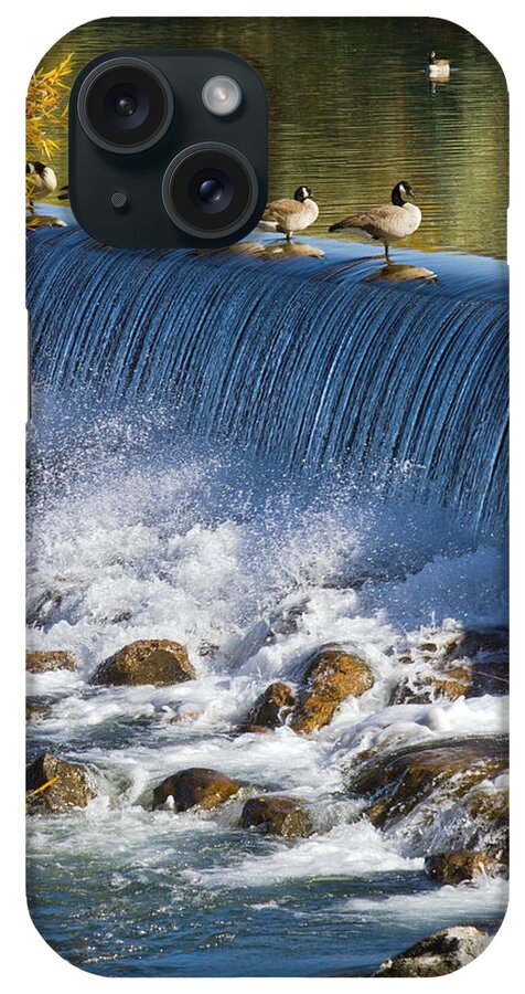 Animal Themes iPhone Case featuring the photograph Canada Geese And Hydroelectric Power by Mark Miller Photos