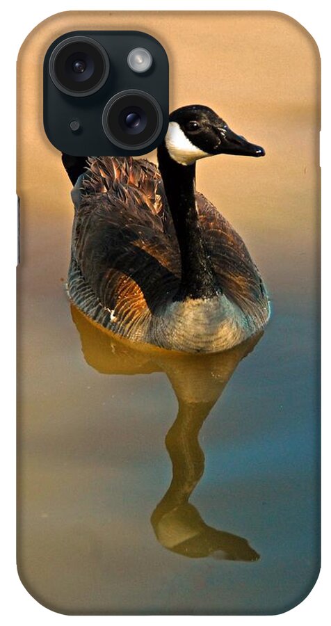Goose iPhone Case featuring the photograph Canada Goose by Tam Ryan