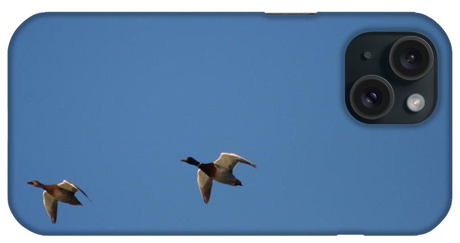 Flight iPhone Case featuring the photograph Canard Flight by David S Reynolds