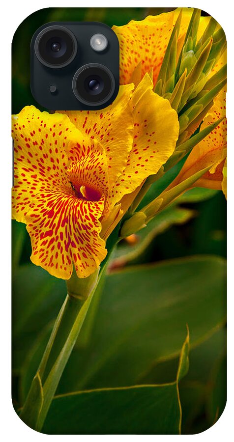 Canna iPhone Case featuring the photograph Canna Blossom by Mary Jo Allen