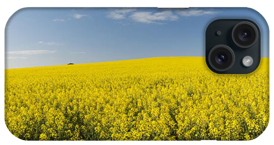 Field iPhone Case featuring the photograph Canola Field Panorama by THP Creative