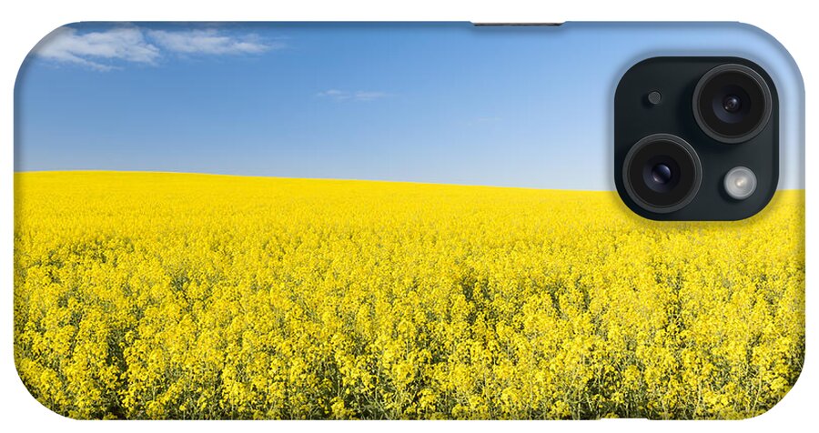 Field iPhone Case featuring the photograph Canola Field by THP Creative