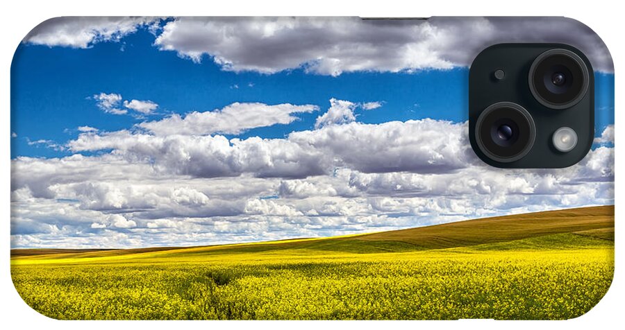 Landscape iPhone Case featuring the photograph Canola Fields by Robert Bynum
