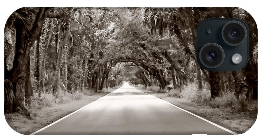 Trees iPhone Case featuring the photograph Canopy of Trees by Bill Howard