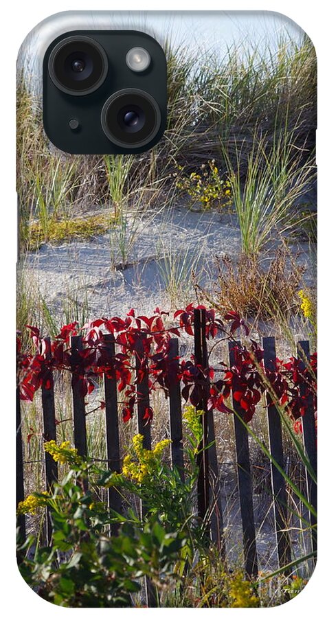 Sand Dune iPhone Case featuring the photograph Cape Charles Autumn by Tannis Baldwin