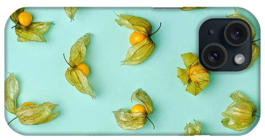 Winter Cherry iPhone Case featuring the photograph Cape Gooseberries Physalis, Winter by Juj Winn