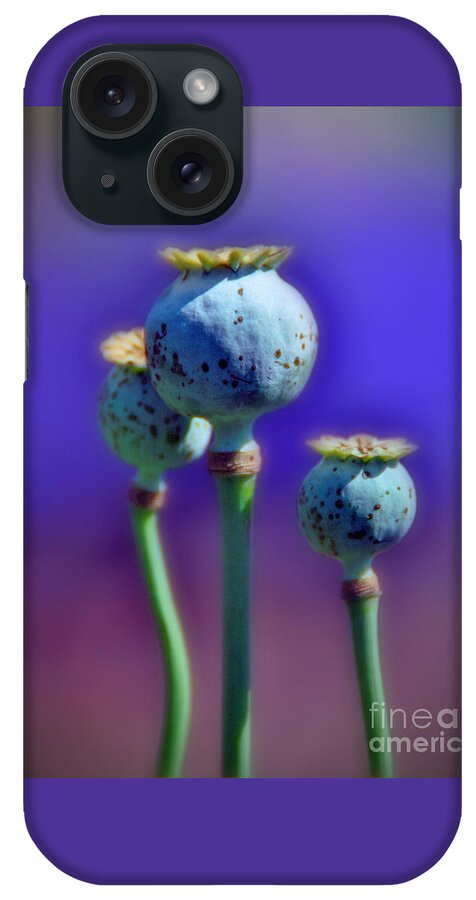 Capsules iPhone Case featuring the photograph Capsules of Poppy by Savannah Gibbs