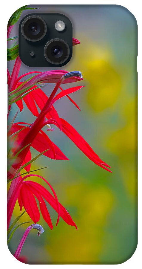 2012 iPhone Case featuring the photograph Cardinal Flower with Yellow Iron Weed by Robert Charity