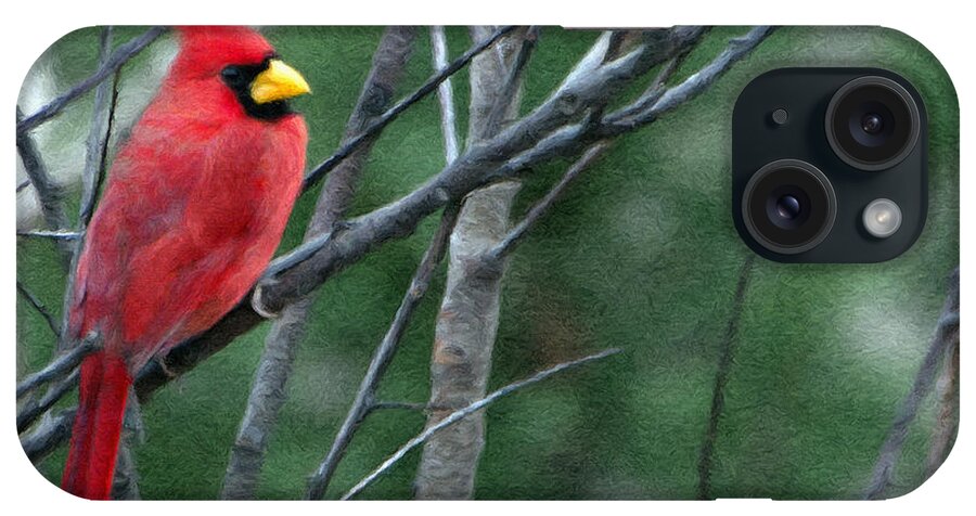 Animal iPhone Case featuring the painting Cardinal West by Jeffrey Kolker