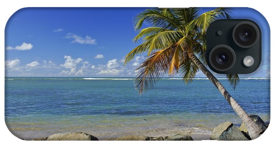 Palm iPhone Case featuring the photograph Caribbean Beauty by Brian Kamprath