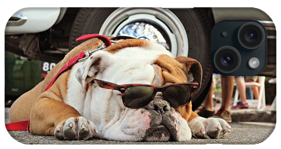 This Dog Is Too Cool. He Is Taking A Break During The 2014 Carmel Concours Show. iPhone Case featuring the photograph Carmel Cool Dog by Steve Natale