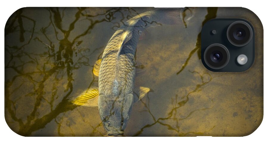Art iPhone Case featuring the photograph Carp feeding in the shallows by Randall Nyhof