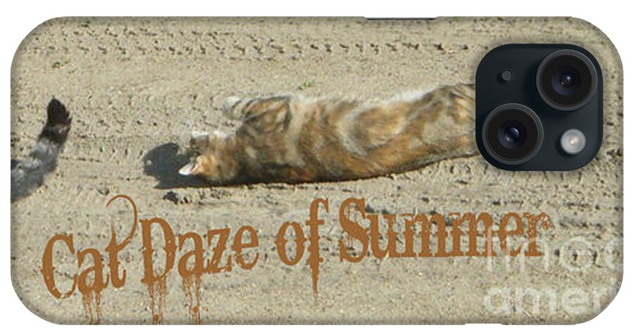 Feline iPhone Case featuring the photograph Cat Daze of Summer by Marianne NANA Betts