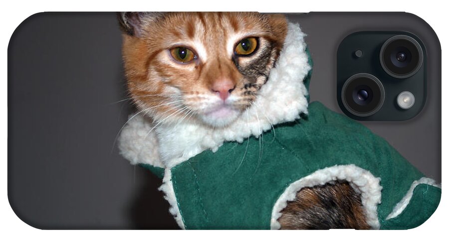 Cat iPhone Case featuring the photograph Cat in Patrick's Coat by Tikvah's Hope