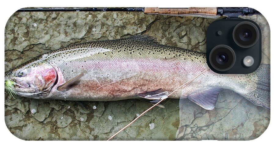 Steelhead iPhone Case featuring the photograph Catch and Release by David Armstrong