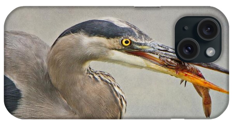  iPhone Case featuring the photograph Catch of the day by Heather King