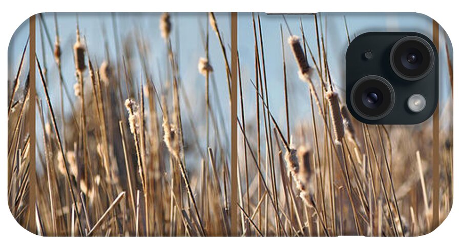 Cattails iPhone Case featuring the photograph Cattails Against Blue by Leda Robertson