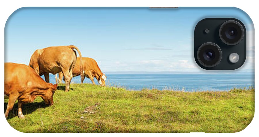Water's Edge iPhone Case featuring the photograph Cattle Grazing In Picturesque Meadow by Fotovoyager