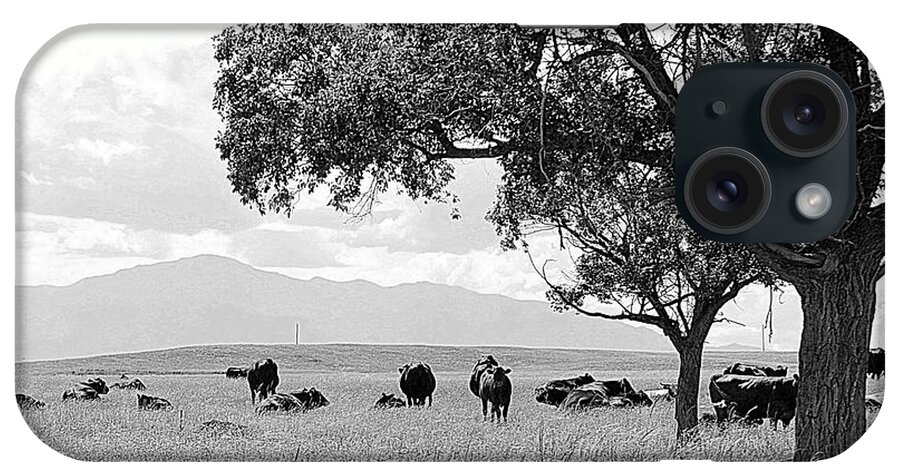 Pikes Peak iPhone Case featuring the photograph Cattle Ranch In Summer by Clarice Lakota